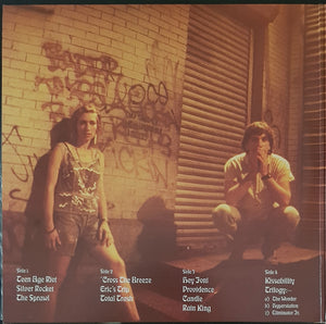 Sonic Youth - Daydream Nation