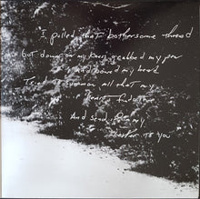 Load image into Gallery viewer, Bruce Springsteen - Letter To You