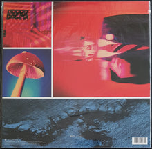 Load image into Gallery viewer, Ministry - Filth Pig - Orange 180gr Vinyl