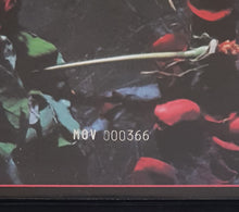 Load image into Gallery viewer, Ministry - With Sympathy - 180gr Red Vinyl