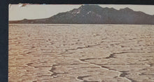 Load image into Gallery viewer, Swervedriver - Son Of Mustang Ford