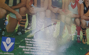 V/A - Footy Favourites