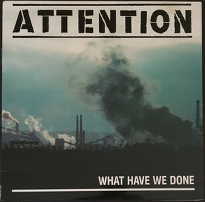 Attention - What Have We Done
