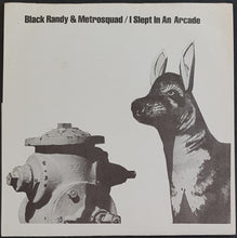 Load image into Gallery viewer, Black Randy And His Metrosquad - I Slept In An Arcade