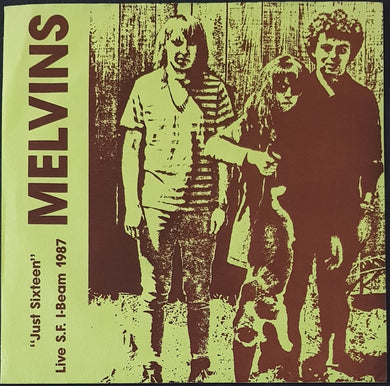 Mudhoney - / Melvins - H.I.V. Groupie Hits-Pack!