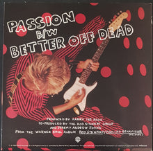 Load image into Gallery viewer, Rod Stewart - Passion