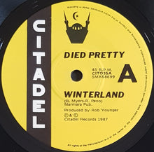 Load image into Gallery viewer, Died Pretty - Winterland