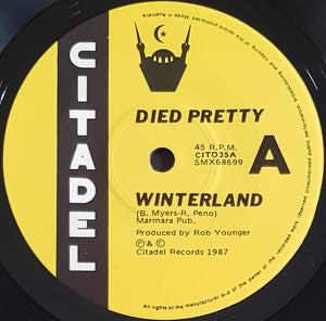 Died Pretty - Winterland