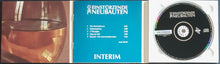 Load image into Gallery viewer, Einsturzende Neubauten - Interim