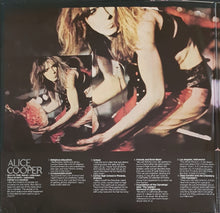 Load image into Gallery viewer, Alice Cooper - School Days - The Early Recordings