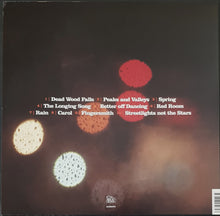Load image into Gallery viewer, Jen Cloher - &amp; The Endless Sea - Dead Wood Falls - Clear Vinyl
