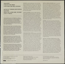 Load image into Gallery viewer, Cornelius, Jess - Nothing Is Lost