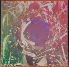 Load image into Gallery viewer, Lane, Davey (You Am I)- I&#39;m Gonna Burn Out Bright - Orange Vinyl