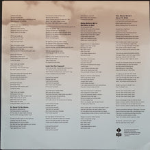 Load image into Gallery viewer, V/A - The Friends Of David McComb - Truckload Of Sky: The Lost Songs Of David McComb Vol.1