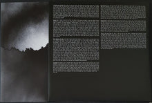 Load image into Gallery viewer, National, The - Trouble Will Find Me - LvC Cut