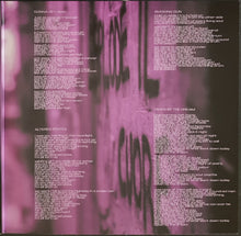 Load image into Gallery viewer, Hugo Race Fatalists- Taken By The Dream