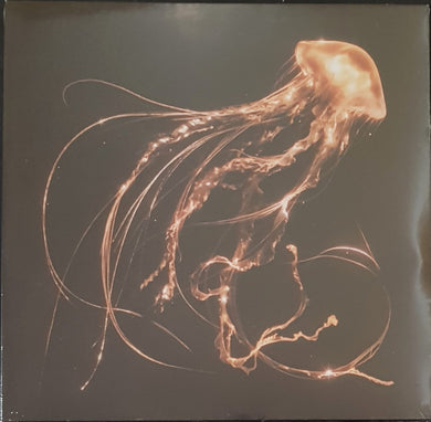 Royal Blood - Back To The Water Below - Gold Marble Vinyl