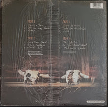 Load image into Gallery viewer, Bruce Springsteen - Devils &amp; Dust