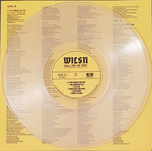 Load image into Gallery viewer, Wilsn - Those Days Are Over - Clear Vinyl
