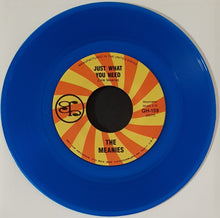 Load image into Gallery viewer, Meanies - Just What You Need - Blue Vinyl