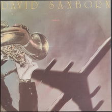 Load image into Gallery viewer, Sanborn, David- Taking Off