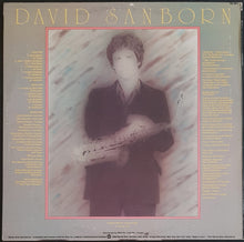 Load image into Gallery viewer, Sanborn, David- Taking Off
