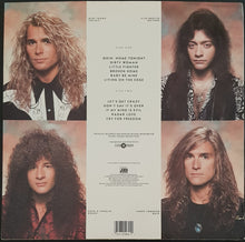 Load image into Gallery viewer, White Lion - Big Game