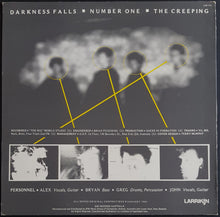 Load image into Gallery viewer, Ducks In Formation - Darkness Falls