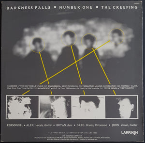 Ducks In Formation - Darkness Falls