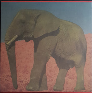 Food Brain - Social Gathering - Reissue