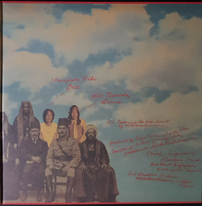 Food Brain - Social Gathering - Reissue