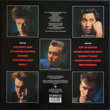 Load image into Gallery viewer, Nick Cave &amp; The Bad Seeds - Tender Prey