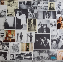 Load image into Gallery viewer, Stray - Saturday Morning Pictures