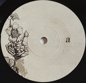 Ocean Bones - Regressor