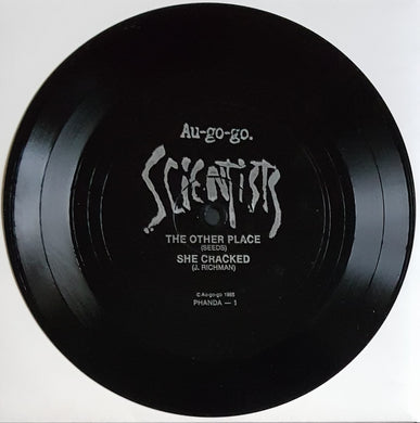 Scientists - The Other Place