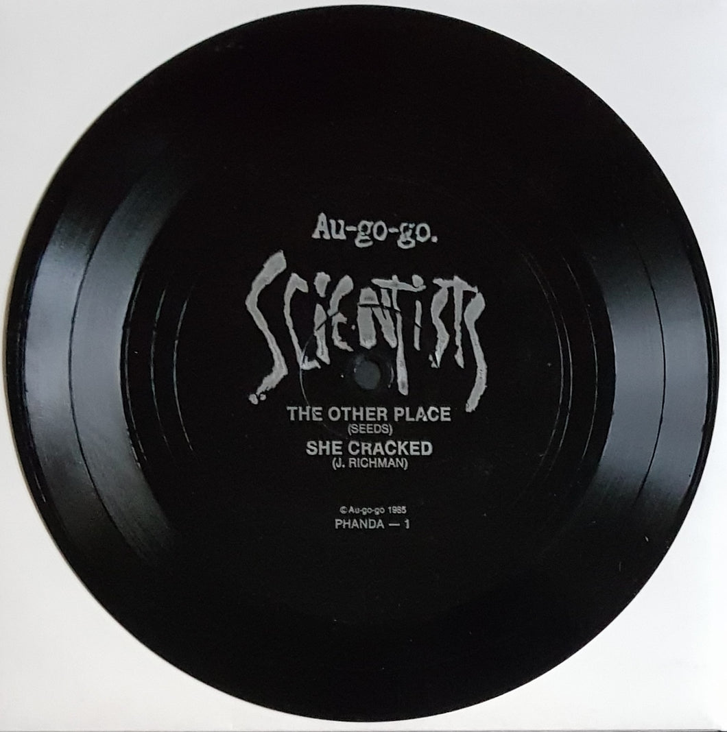 Scientists - The Other Place