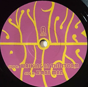 Stinkbugs - Walking In The Storm