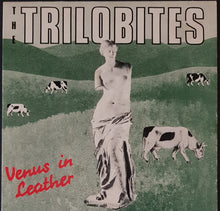 Load image into Gallery viewer, Trilobites - Venus In Leather
