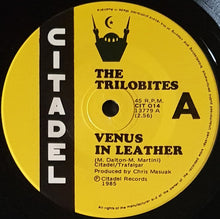 Load image into Gallery viewer, Trilobites - Venus In Leather