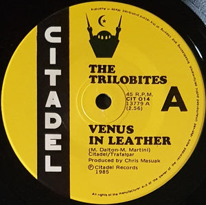 Trilobites - Venus In Leather