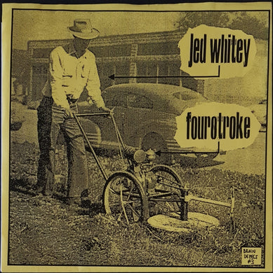 Jed Whitey - 200 Damn Dollars