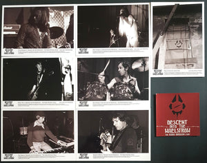 Radio Birdman - Descent Into The Maelstrom-The Radio Birdman Story