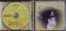 Load image into Gallery viewer, J.D. Blackfoot - The Song Of Crazy Horse