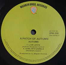 Load image into Gallery viewer, Autumn - A Patch Of Autumn