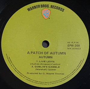 Autumn - A Patch Of Autumn