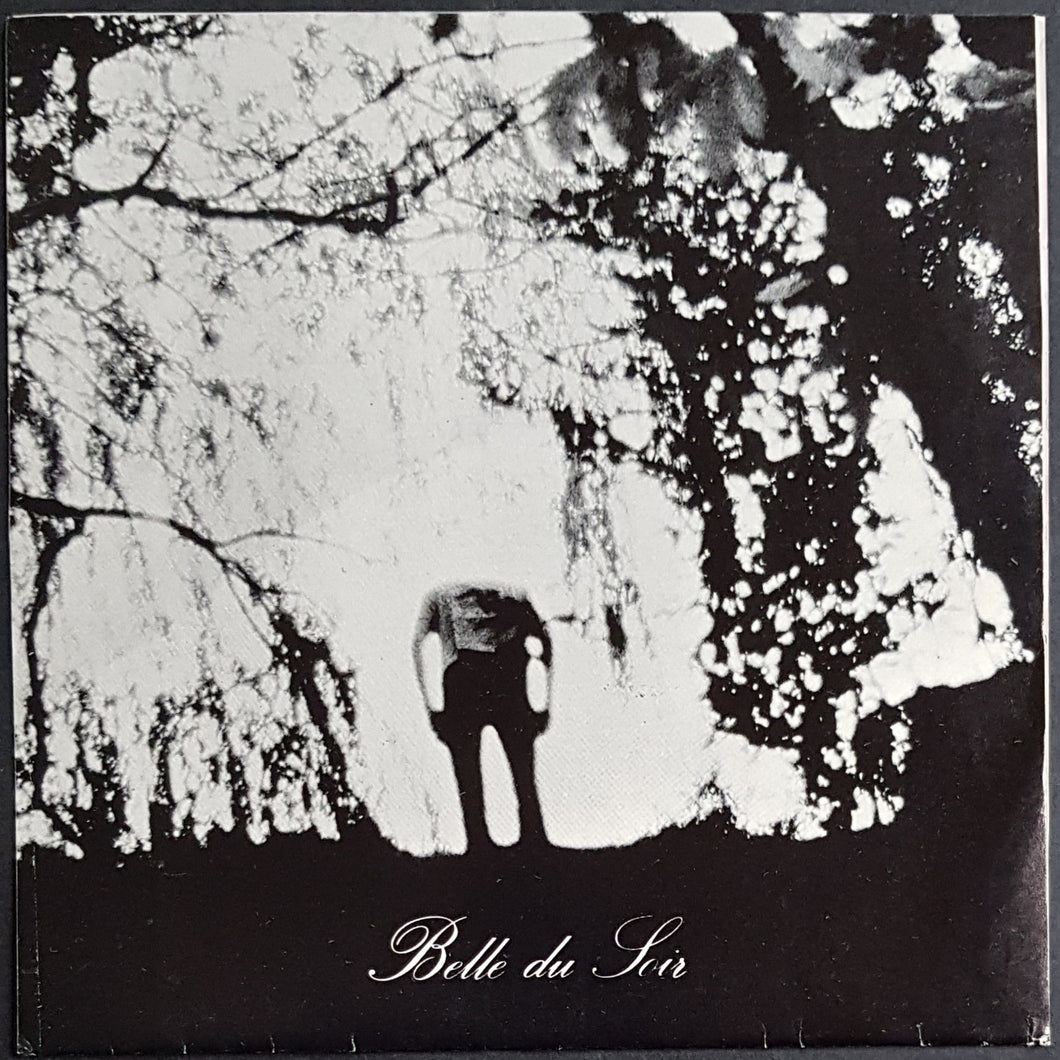 Belle Du Soir - Treasure Island