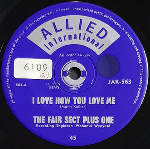 Fair Sect Plus One - I Love How You Love Me