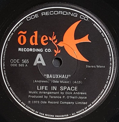 Life In Space - Bauxhau