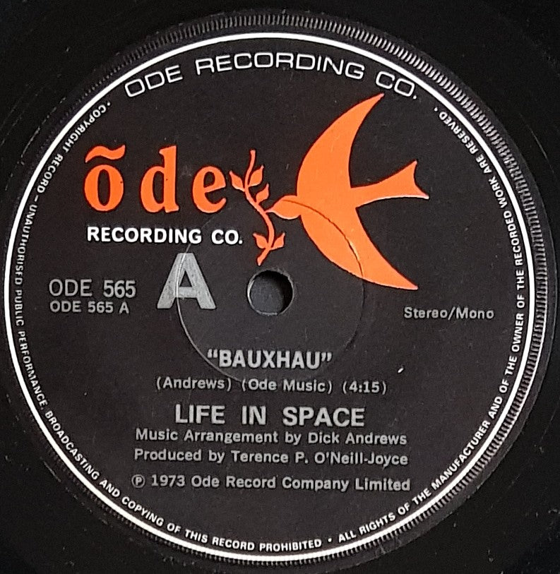 Life In Space - Bauxhau