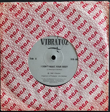 Vibratoz - I Don't Want Your Body